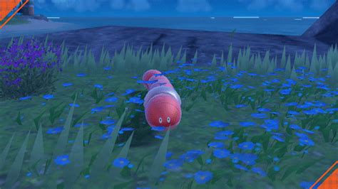 smogon orthworm|Iba pa.